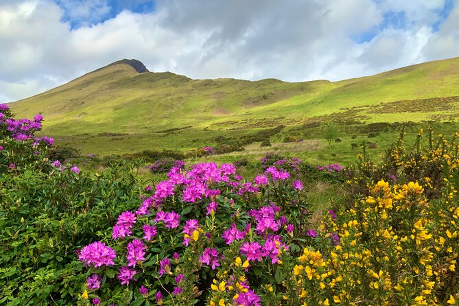 Private Day Tour From Galway to the Burren & the Cliffs of Moher - Booking and Support