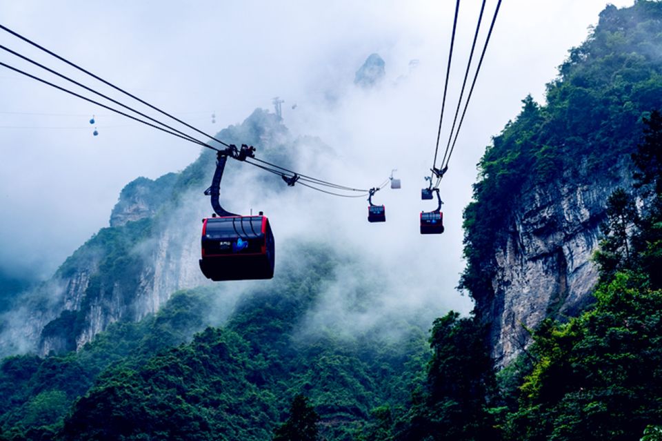 Private Day Tour to Tianmen Mountain & Glass Walk - Customer Experience and Reviews