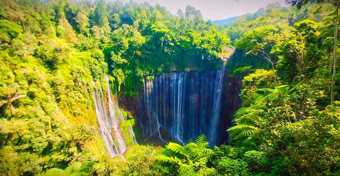 Private Day Tour To Tumpak Sewu Waterfall Start Malang City - Pickup Logistics
