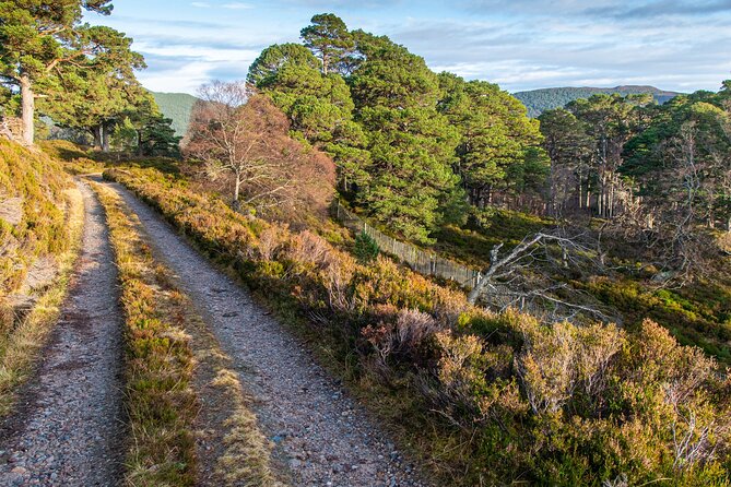 Private Deeside Walking Tour to Kings Secret Retreat & Castle/Distillery Visit - Cancellation Policy