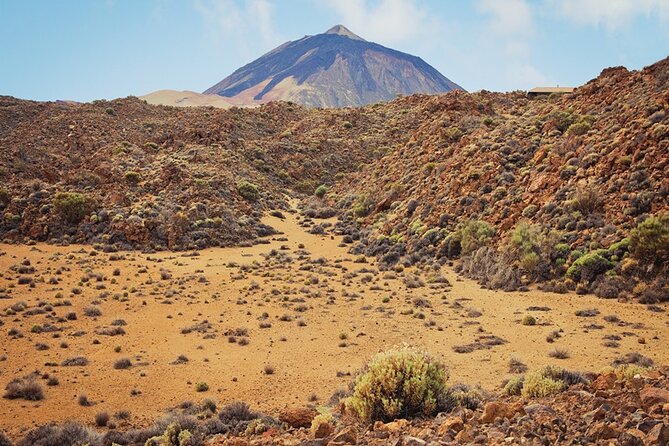 Private Excursion to Teide National Park - Pricing and Details
