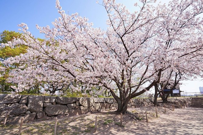 Private Fukuoka Tour With a Local, Highlights & Hidden Gems 100% Personalised - Customer Satisfaction and Recommendations