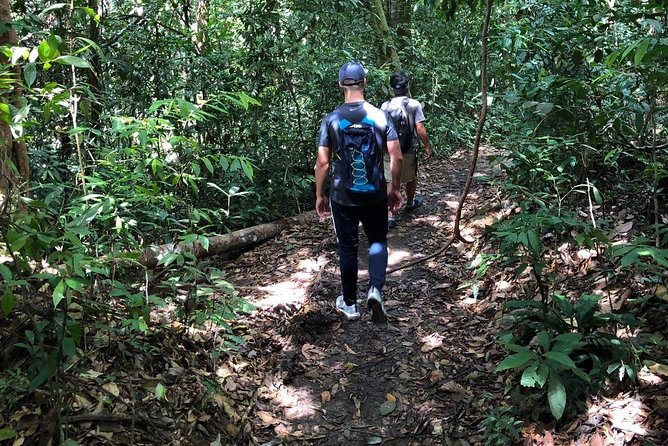 Private Full-Day Bukit Lawang Trekking Tour From Medan - Reviews and Pricing