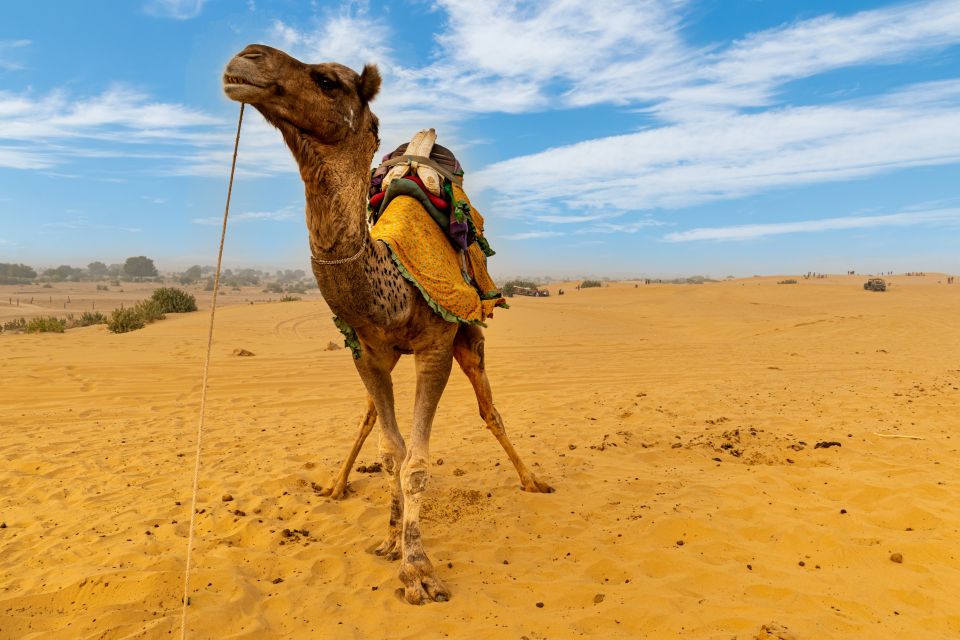 Private Full Day Jaisalmer City Tour (All-Inclusive) - Full Description