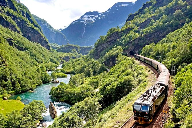 Private Full-Day Round Trip From Oslo to Sognefjord via Flåm Railway - Tour Details and Logistics