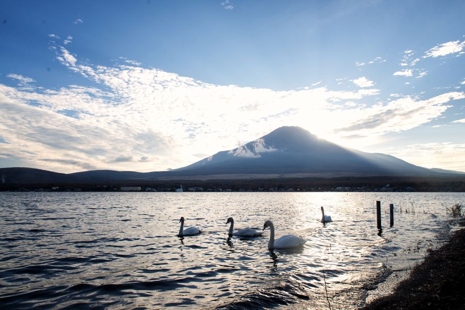 Private Full Day Sightseeing Tour to Mount Fuji and Hakone - Pricing and Availability