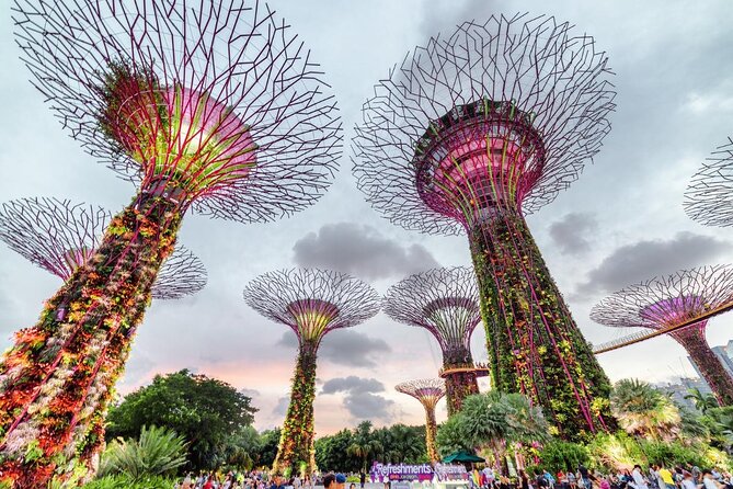Private Full Day Singapore Highlights Tour - Guide Experience