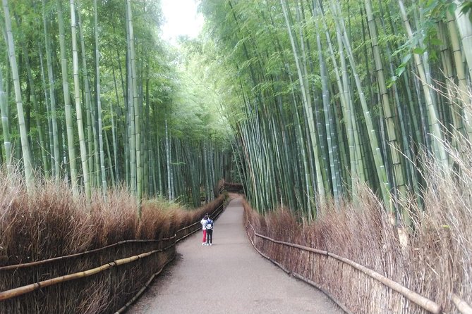 Private Full-Day Tour: Kyoto's Arashiyama and Kinkakuji Temple (Mar ) - Reviews and Ratings