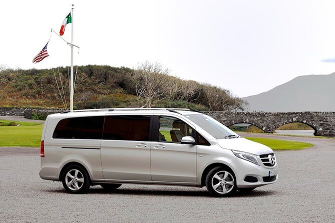 Private Full-Day Tour to Dingle and Slea Head - Traveler Reviews