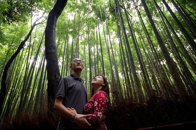 Private Full-Day Tour With Expert Guide: Highlights of Kyoto (Mar ) - Highly Recommended Tours and Guides