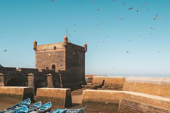 Private Full Day Trip From Marrakech to Essaouira Mogador - Service Feedback and Recommendations