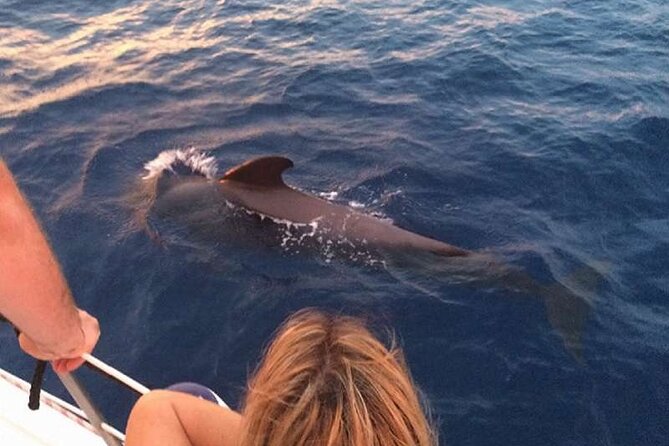 Private Glamorous Speedboat in Tenerife With Snacks & Drinks - Crew and Safety Information