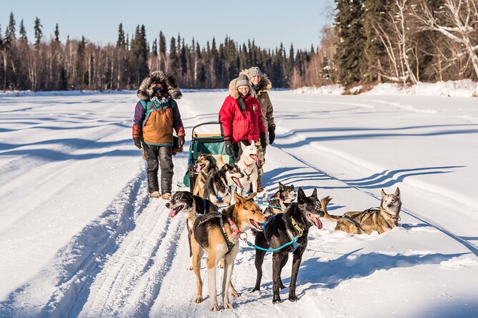 Private Guided Chena River Mush Dream Vacation in Fairbanks - Tour Details
