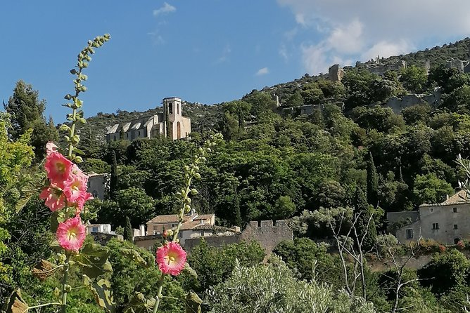 Private Guided Day Trip to the Luberon Villages - Last Words