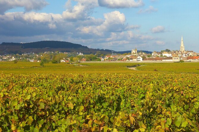 Private Guided Sidecar Tour in Burgundy From Meursault - Easy Booking Process Overview