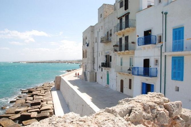 Private Guided Tour in Monopoli: Walking Through the Old Town - Pricing, Terms, and Booking Process