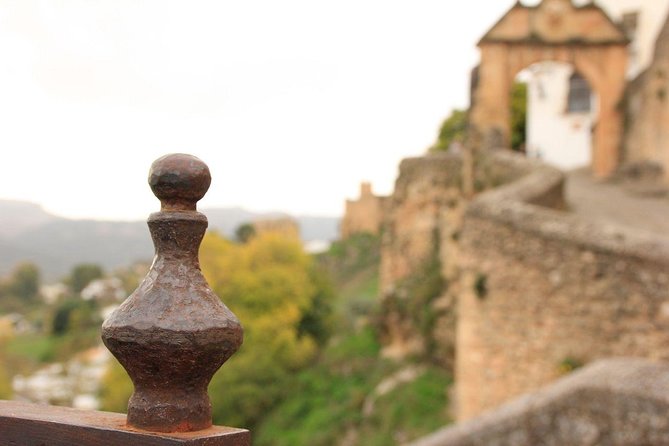 Private Guided Tour in Ronda - Questions and Support