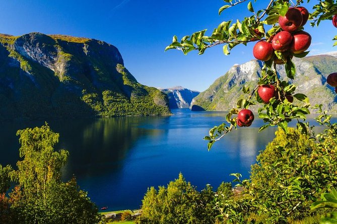 Private Guided Tour - Premium Nærøyfjord Cruise and Flåm Railway - Pricing Options