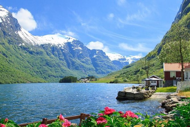 Private Guided Tour - Premium Nærøyfjord Cruise and Flåm Railway - Logistics and Pricing