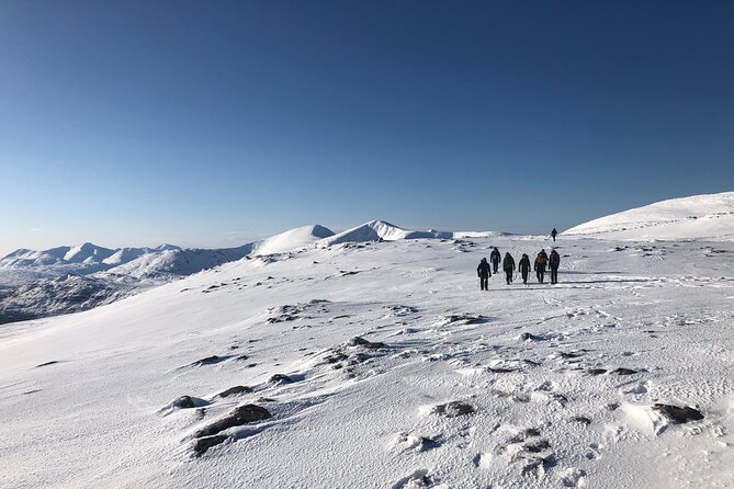 Private Guided Winter Mountain Walking Experience in the Cairngorms - Price and Booking Details