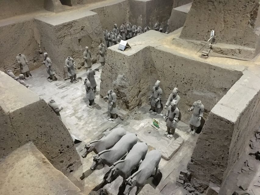 Private Half-Day Tour to the Terracotta Army Museum - Efficient and Insightful Tour