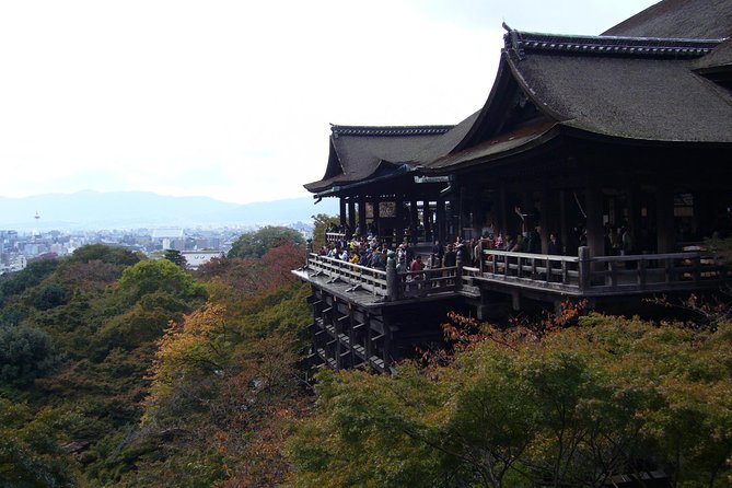 Private Highlights of Kyoto Tour - Visitor Experiences and Feedback