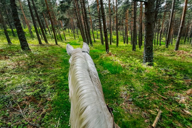 Private Horse Ride in Madrid Natural Park Reserve - Directions