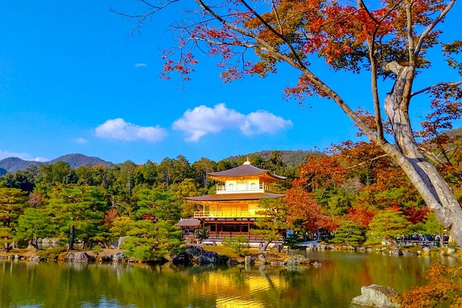 Private Kyoto Day Trip With English Speaking Driver - Company Communication Standards