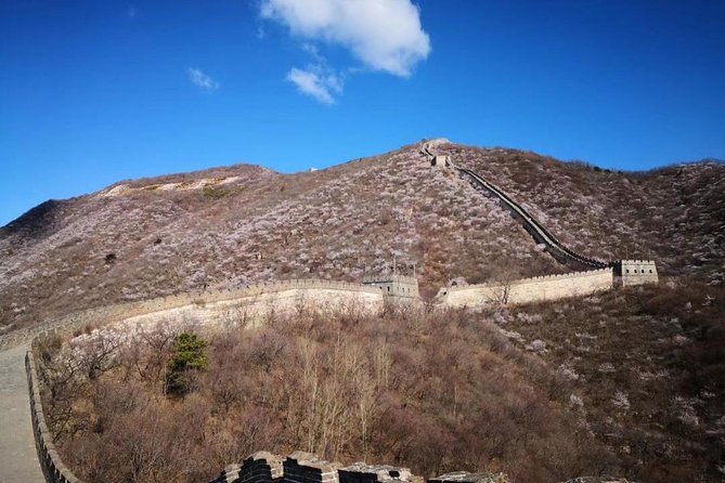 Private Layover Tour to Mutianyu Great Wall and Forbidden City - Customer Reviews and Ratings