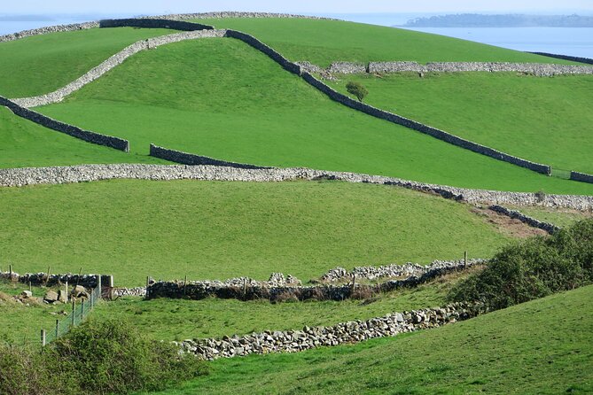 Private Luxury Tour of Newgrange and The Hill of Tara - Additional Options Available