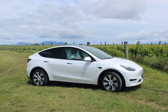 Private Martinborough Wine Tour in an Electric Vehicle - Tesla Model Y - Exclusive Tour Features