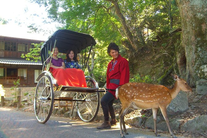 Private Miyajima Rickshaw Tour Including Itsukushima Shrine - Traveler Reviews