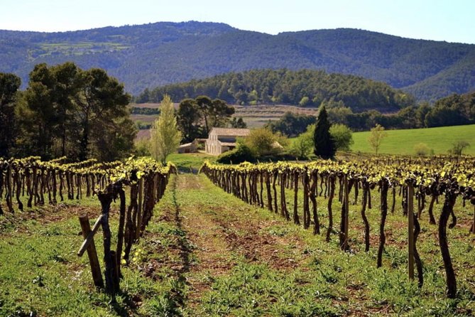 Private Montserrat Tour & Organic Farming Winery Local Lunch - Additional Information