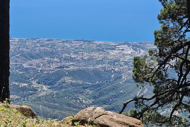 Private Mountain Bike Tour in Sierra Bermeja, Estepona - Weather Contingency Plan