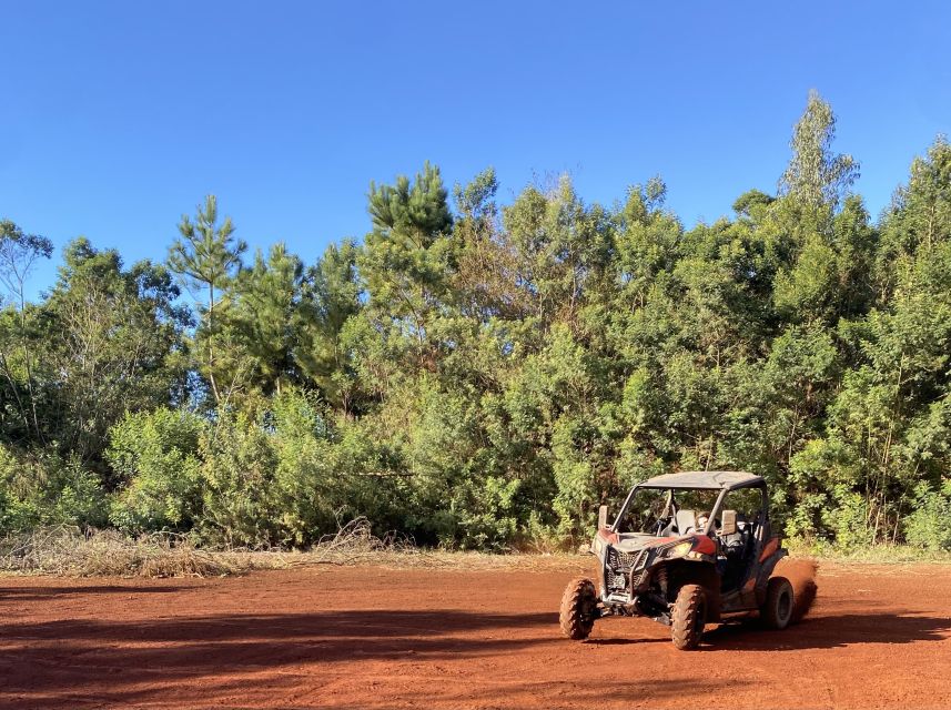 Private Off-Road Buggy Driving Experience (Pickup Included) - Full Description