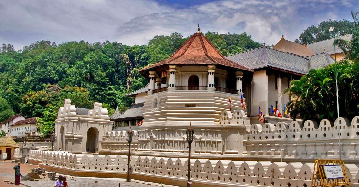 Private Pinnawala & Kandy Day Tour From Negombo - Detailed Tour Description and Activities