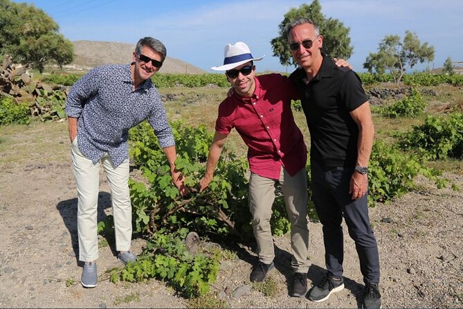 Private Santorini Wine Adventure in 3 Wineries With 12 Tastings - Exploring Santo Wines