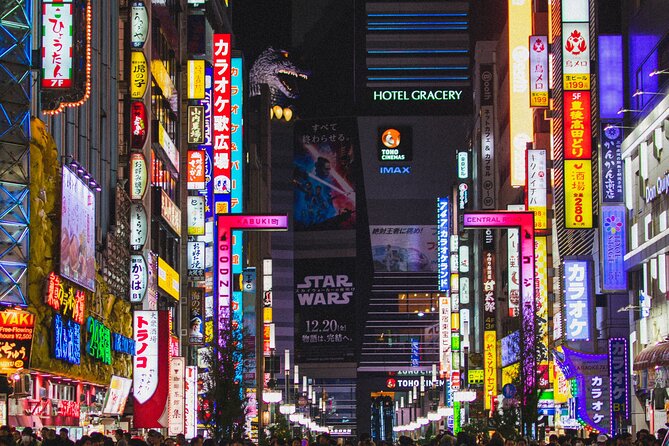 Private Shinjuku Nightlife Walking Tour & Golden-Gai Bar Crawl - Additional Resources