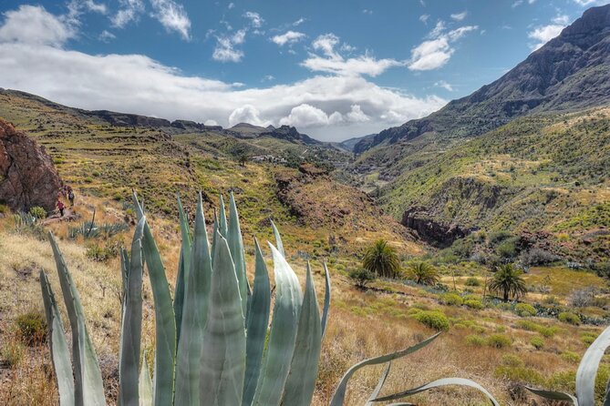 Private Shore Excursion in Gran Canaria the Miniature Continent - Booking and Cancellation Policy