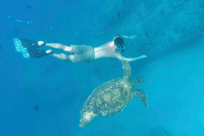 Private Snorkeling and Wildlife on The Adventure Boat - Customer Testimonials