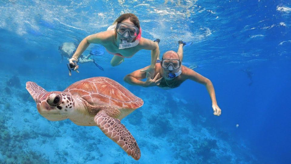 Private Snorkeling Family or Group at Menjangan Island - Common questions