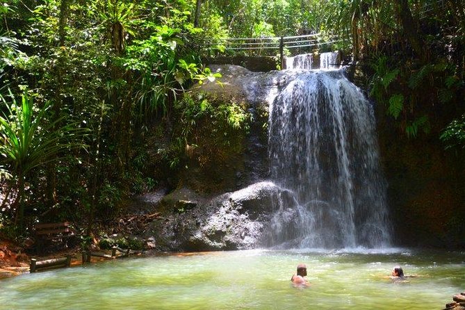 Private Suva Nature and Waterfall Tour - Tour Inclusions