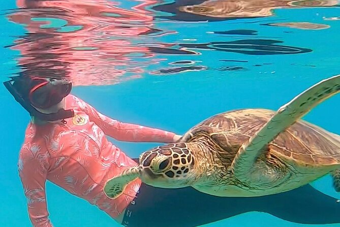 Private Swimming and Snorkeling Tour With Sea Turtles in Amami - Last Words