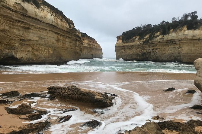 [PRIVATE TOUR] 12 Apostles Great Ocean Road Day Trip - Reviews and Ratings Overview