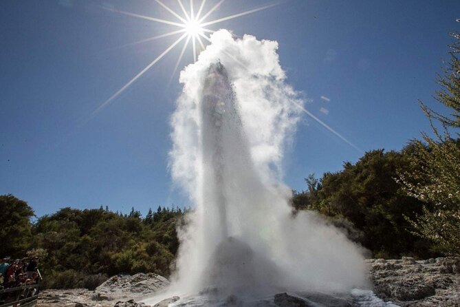 Private Tour [2 Days]: Auckland to Waitomo Caves, Rotorua, Te Puia & Wai-O-Tapu - Pricing, Reviews, and Booking Information