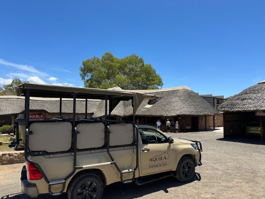 Private Tour: Big 5 Safari - Experience the Wild Animals - Safari Experience Details