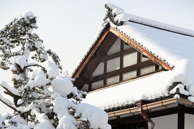 Private Tour Kanazawa, Shirakawago, Hida Furukawa, Takayama - Positive Reviews Highlights