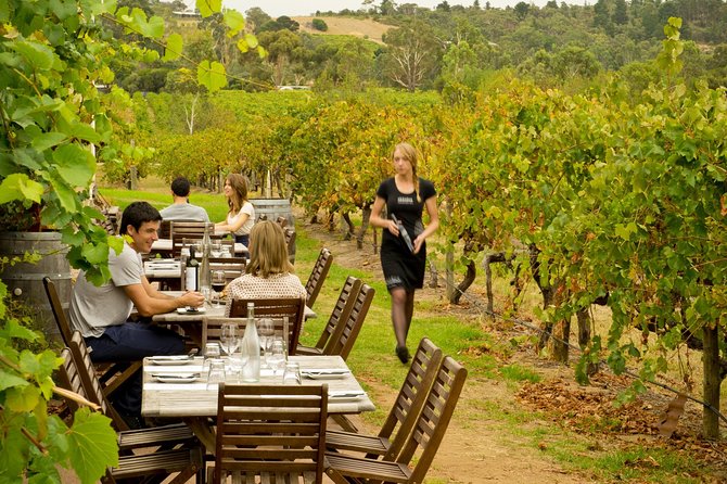 [PRIVATE TOUR] Mornington Peninsula Hot Springs Winery & Sightseeing Tour - Hot Springs and Winery Details