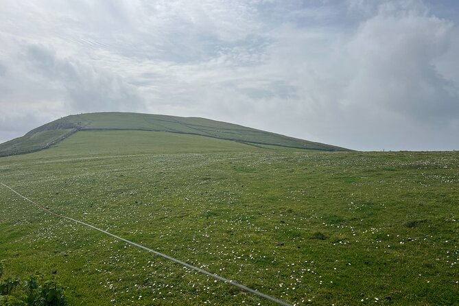 Private Tour of Dingle Peninsula From Killarney - History and Cultural Insights