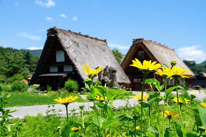 Private Tour of Shirakawago From Kanazawa (Half Day) - Group Size and Pricing